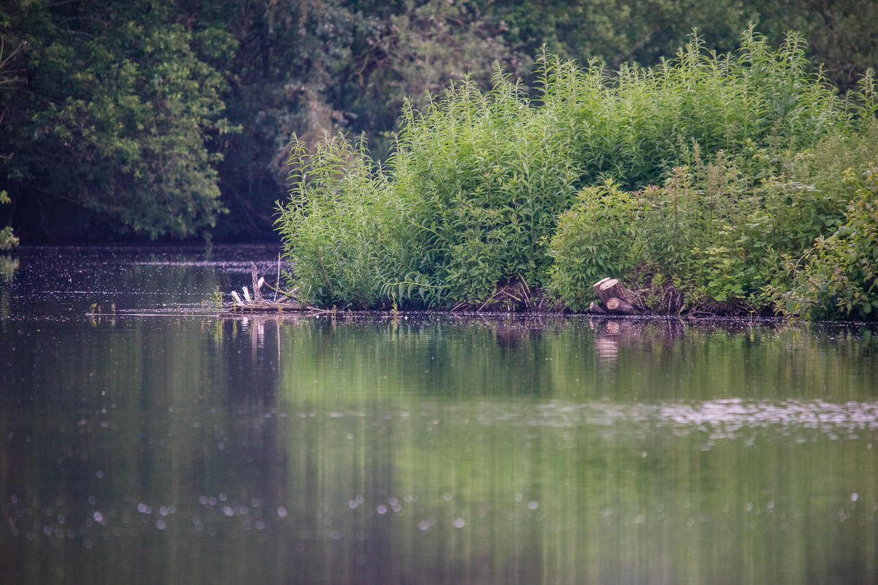 https://images.ecency.com/DQmRmAagvSEfe61WGttzNYs8HVGeSR8AGysM4oHweswM8ut/30mei2025_05852.jpg