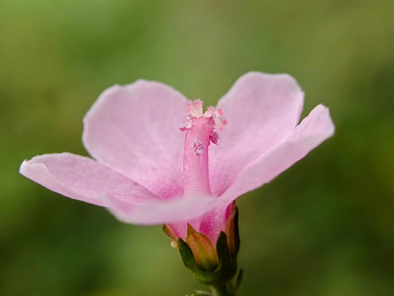 https://images.ecency.com/DQmRwG46kS8yCs8B7BvukjinQE3rToc5vD8QNXPY85z1UPC/1756480458913.jpg