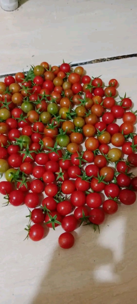 https://images.ecency.com/DQmRxRsViw67VbPiJgqCY4pZAZ6m3JBfgG3SC7nBBEWMVdd/1753448634071.jpg