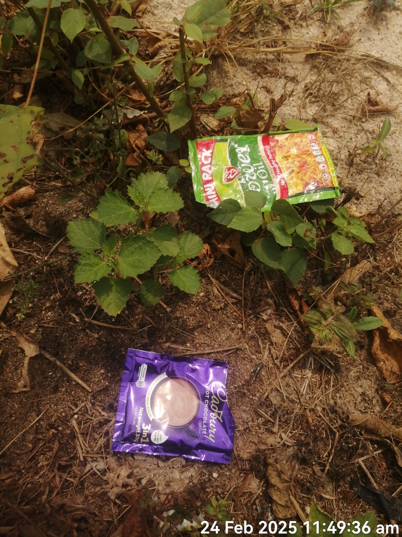 https://images.ecency.com/DQmSB5dpechhnEwFbpjtaNLkZdxWEZvEgj1iGPrT9UwtLT9/timephoto_20250224_114936.jpg