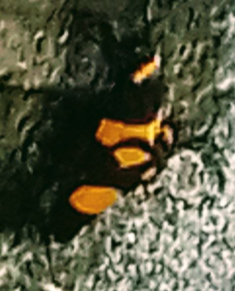 https://images.ecency.com/DQmSFQGknX79jTRW987Hk136VM2JTBugszATpRLTqPi9rWB/photo_2024_06_14_15_55_49.jpg