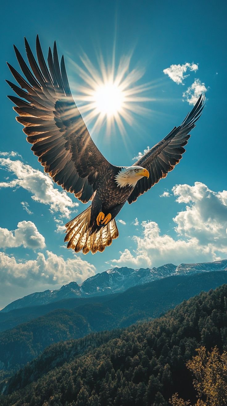 https://images.ecency.com/DQmSJRdJMXq4YjuZq4jqaDb5ccshMpAJu6ZZhi3LhBSJ4aQ/1744898401358.jpg