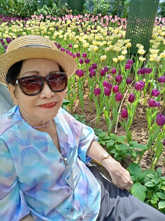 https://images.ecency.com/DQmSUXLLTZcNxAVNdKCE2i24UMrz44CocdXkvaTdE95N8cy/tulips30.jpg