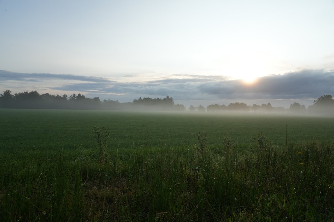 https://images.ecency.com/DQmSb9LbWkeNc88f2EQRmXSrP1ojXMVfsnaBav6YcPNfQFQ/a7402908.jpg