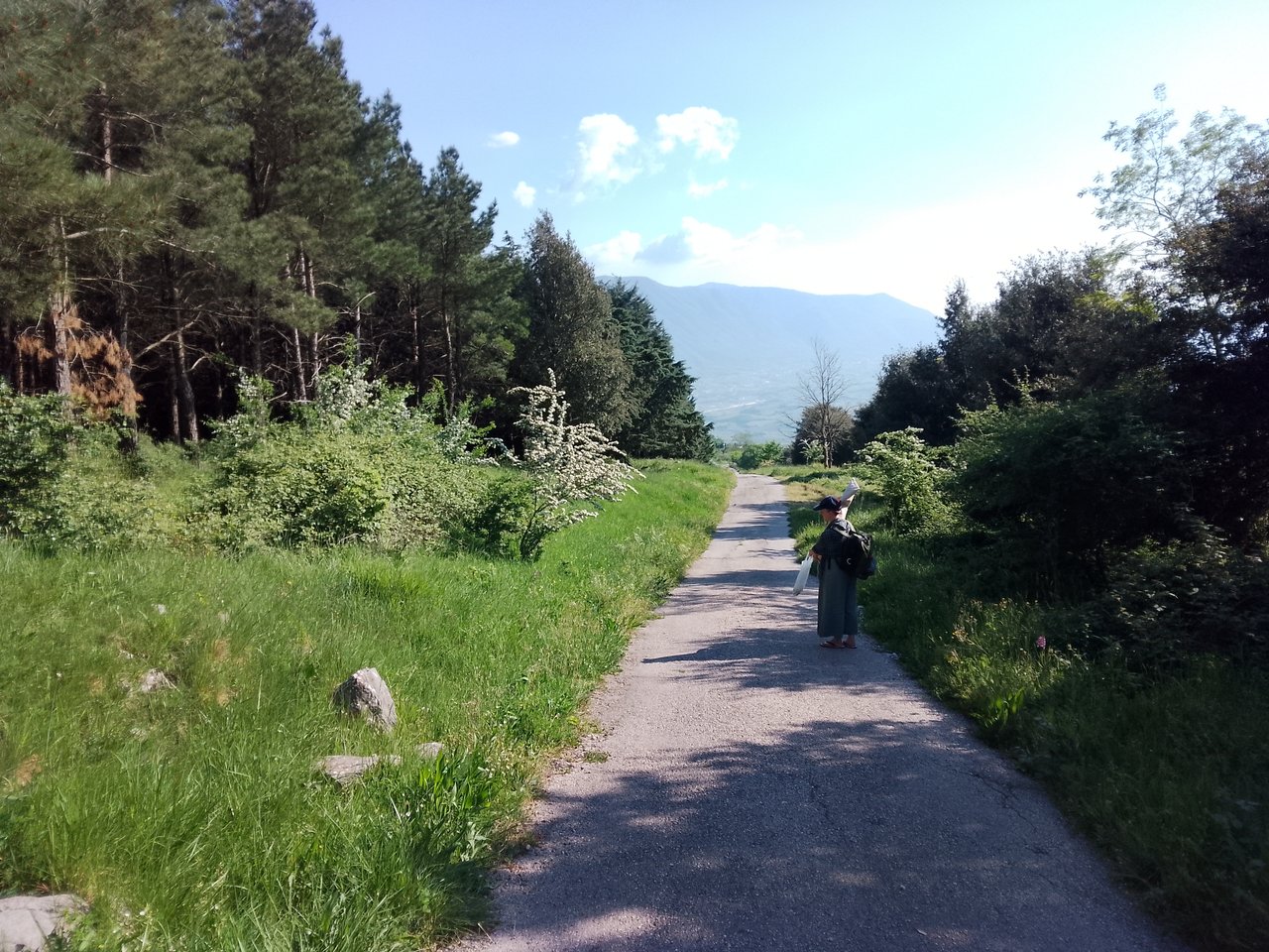 https://images.ecency.com/DQmSqnyM2MPepw9bZ7bYjztYCXdg2vv8N3SuhRdkeWBgAD7/1746275676313.jpg