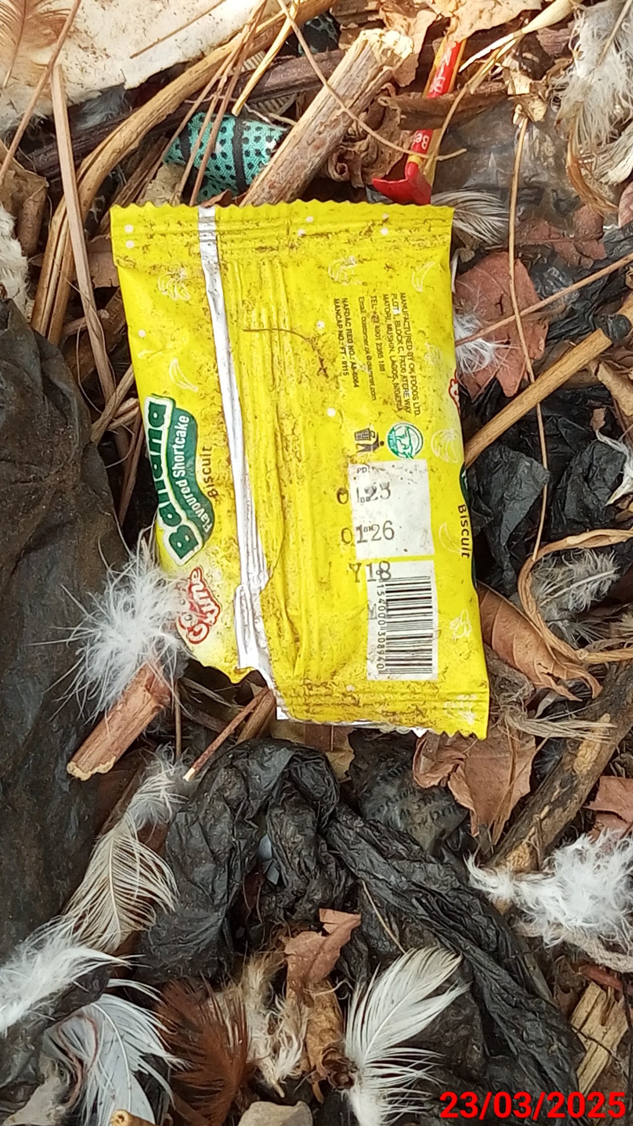 https://images.ecency.com/DQmSuX7nwVDxnLCmmnuynbeo89B2so1Kgp8MvQhwQQigZTG/1742735582500.jpg