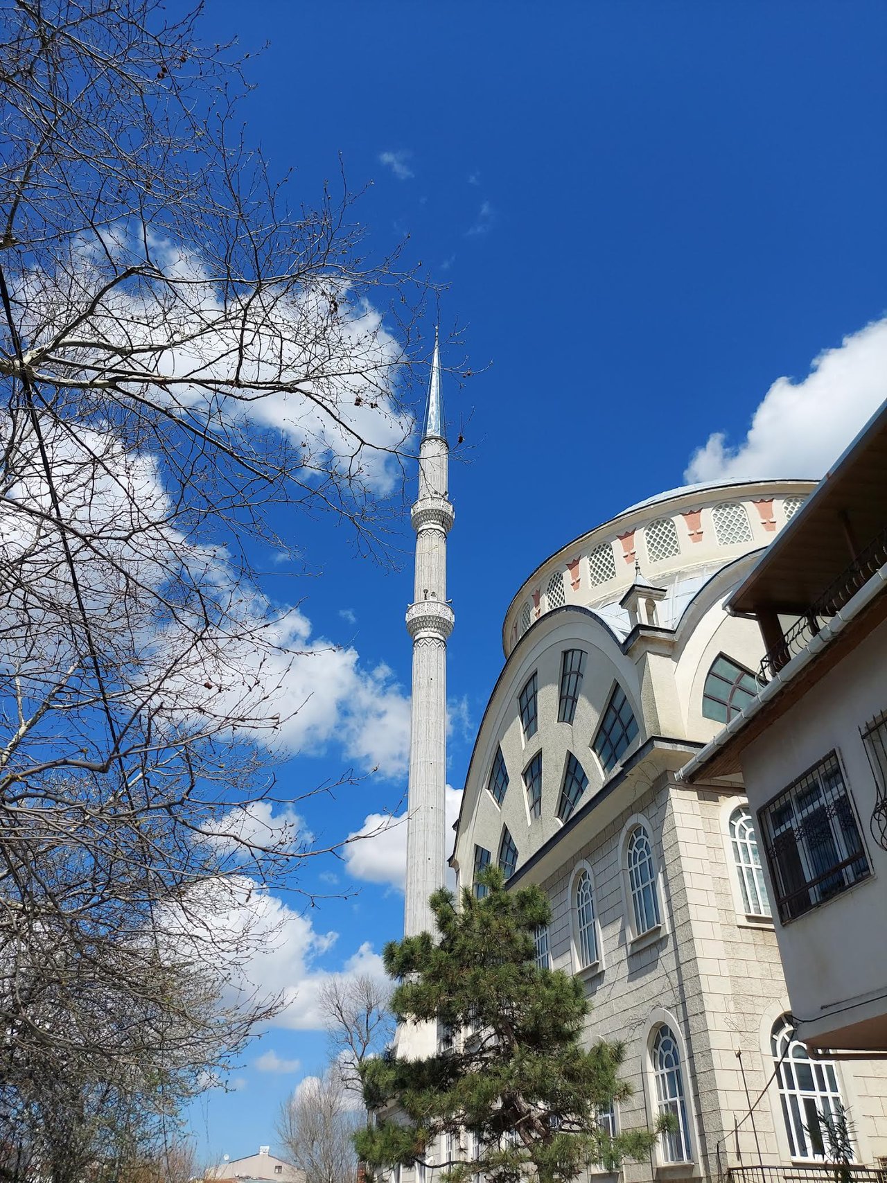 https://images.ecency.com/DQmTEPF2gE4W1Tyhsdguv9AEDKzD7FMBt75Rc84NhFD8x6x/20230330_125808.jpg