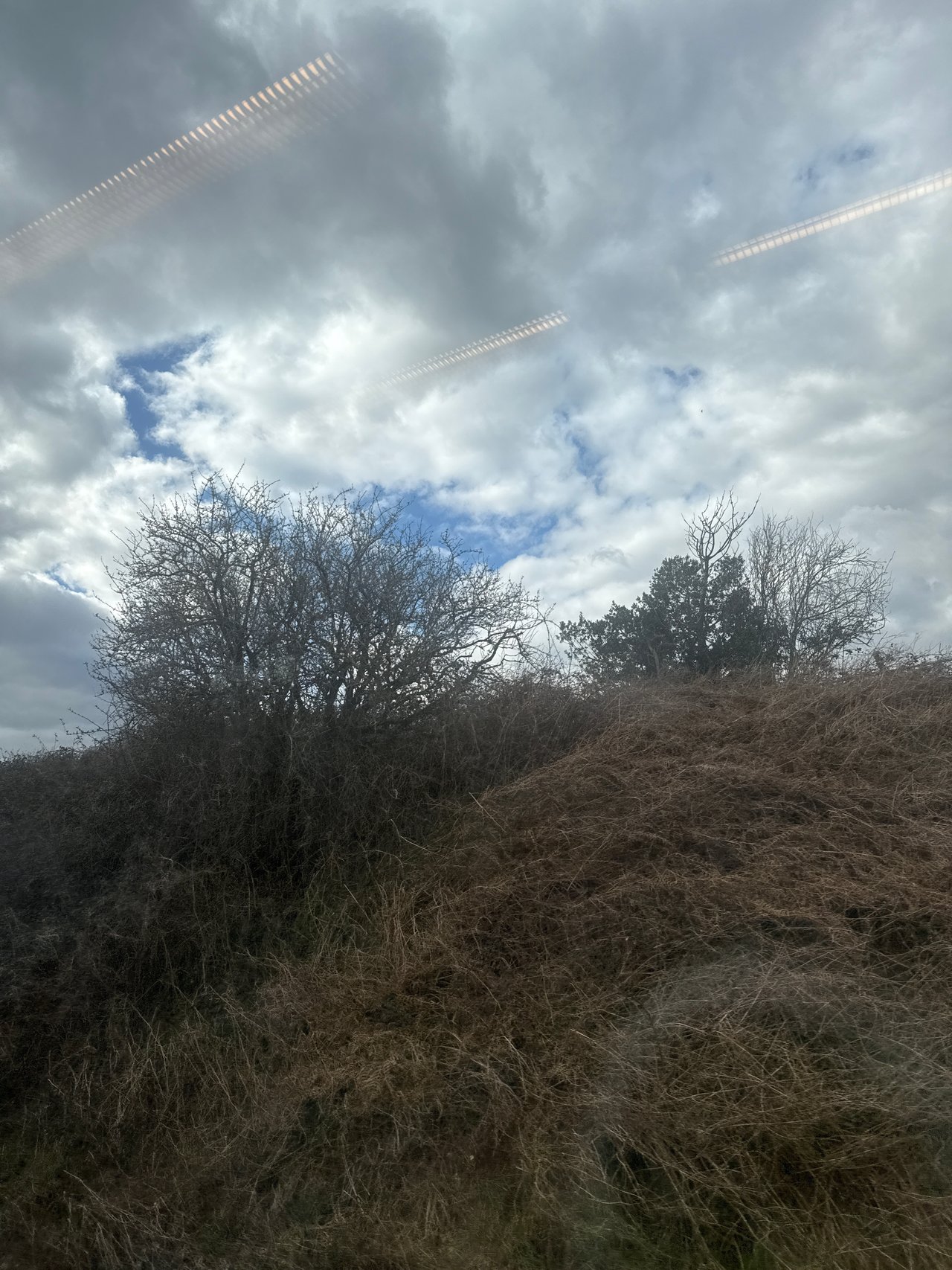 https://images.ecency.com/DQmTFwYQ3GqnYjJw8Mmj1odWc35Pda4gbcu5cWRou91HRQw/0aea81d9_e2c3_4233_912c_d45884ee2688.jpg