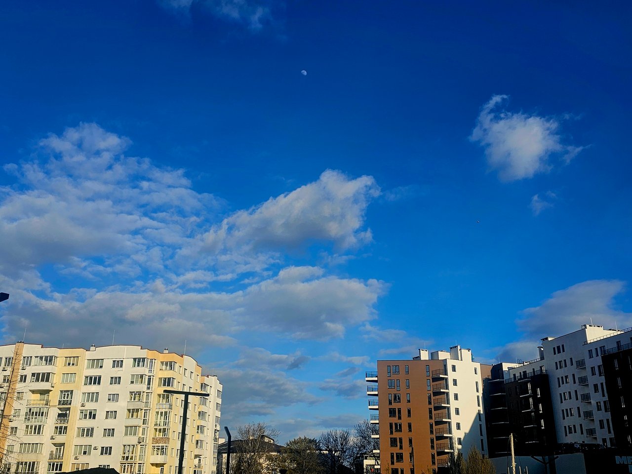 https://images.ecency.com/DQmTNTTnjGEjBGQZ4YaLAs7wERoZF45mD7PXStrfiKWynw3/1000031314.jpg