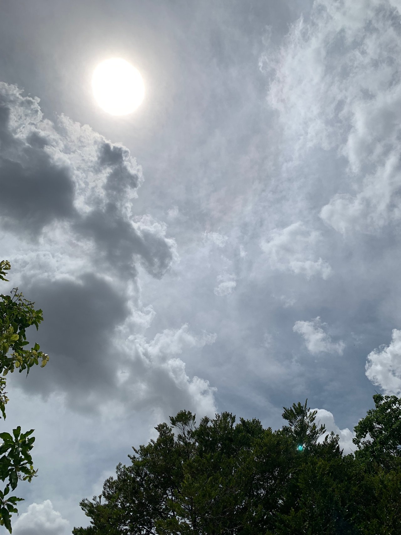 https://images.ecency.com/DQmTQ8JZpQ8qvqxodbhh968HkMDHjRzxD7MTsHDP7eEJ22x/clouds18.jpg