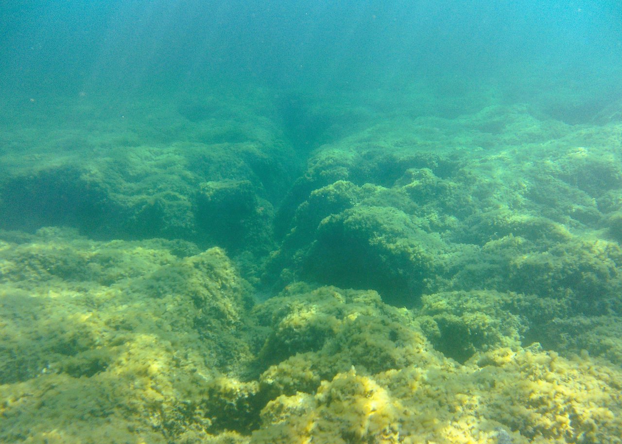 https://images.ecency.com/DQmTRHmwW9Bfp22t8ATJxhZX24cwi1vrr7tKRdhTc7AgXTd/kazela_baz_trs_11.jpg