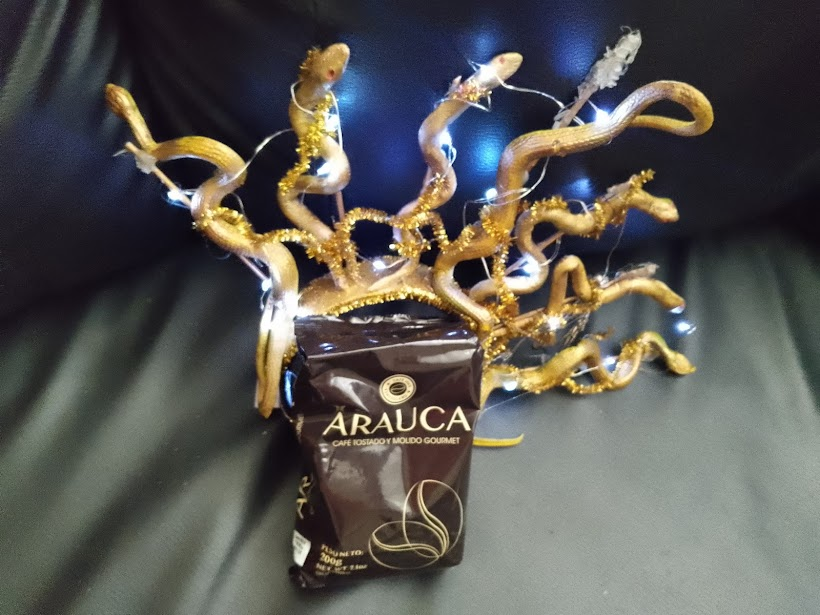Meet the Arauca Coffee