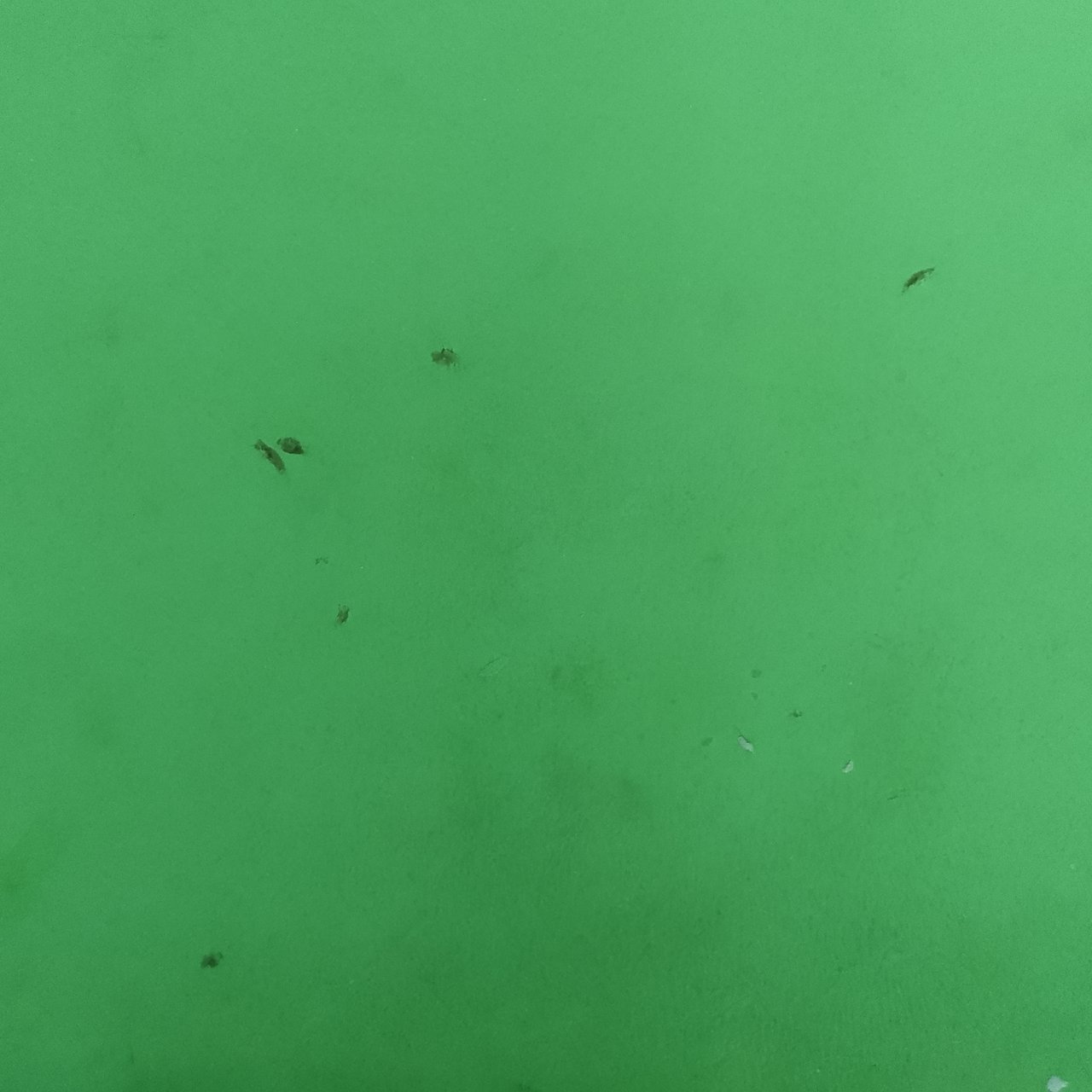 https://images.ecency.com/DQmTgMv5VFASy33nExm2weokNeoSiXusAASDL3xy4wdGeon/1738072574582.jpg