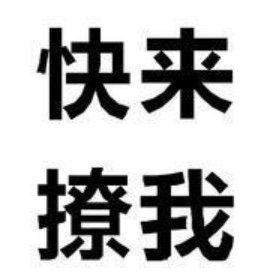 img_1542.png