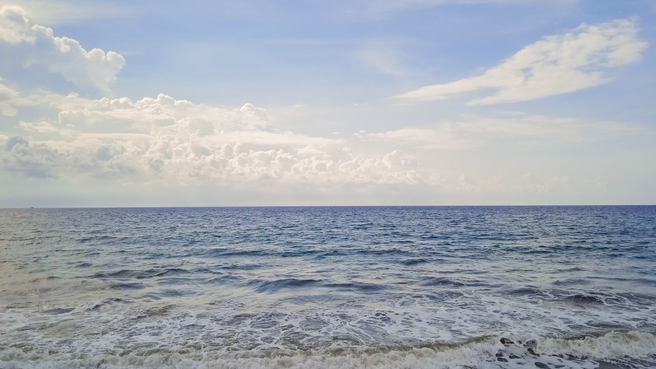 https://images.ecency.com/DQmTwAr75yBmdJjpaLokG2KBT8HALeTBpnXeiH1VCHwG8nj/1754746842886.jpg