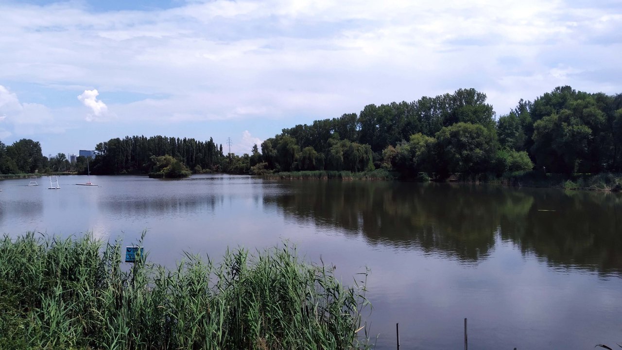 https://images.ecency.com/DQmTwXZTp9BSKvkgv6vZn1Ysk1Pv2HaDbTTrVbH1bDStnCV/ac01.jpg