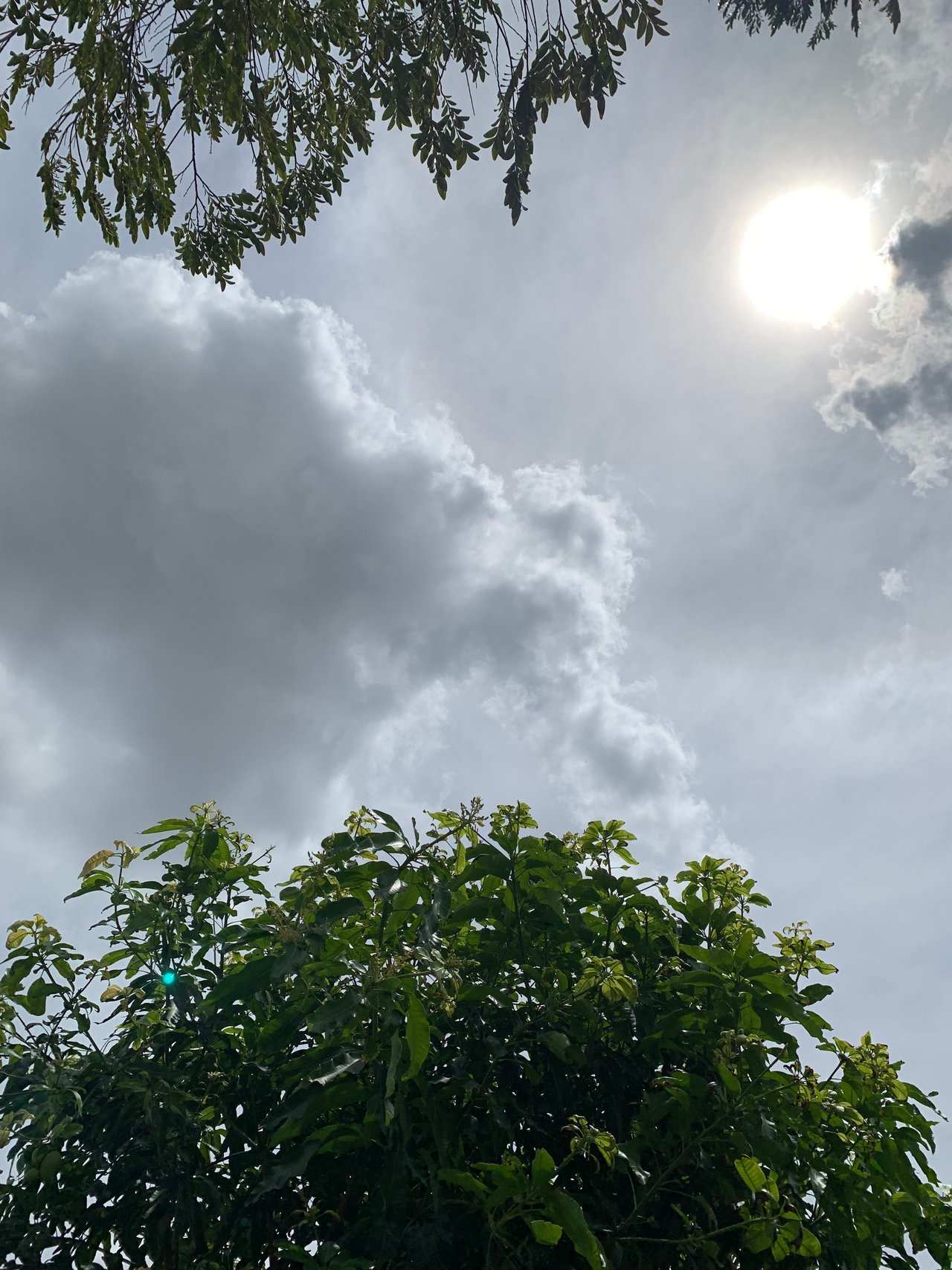 https://images.ecency.com/DQmU8nGjJbnANhnjhLJajvGmtXZmmTCHr1v4sLviqNdsFuS/clouds21.jpg