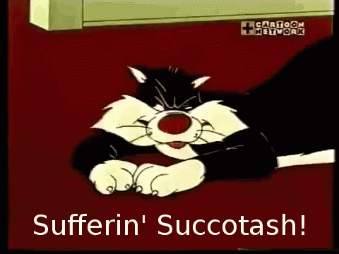 suffering_succotash.gif
