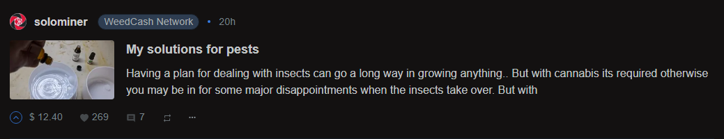 @solominer My solutions for pests
