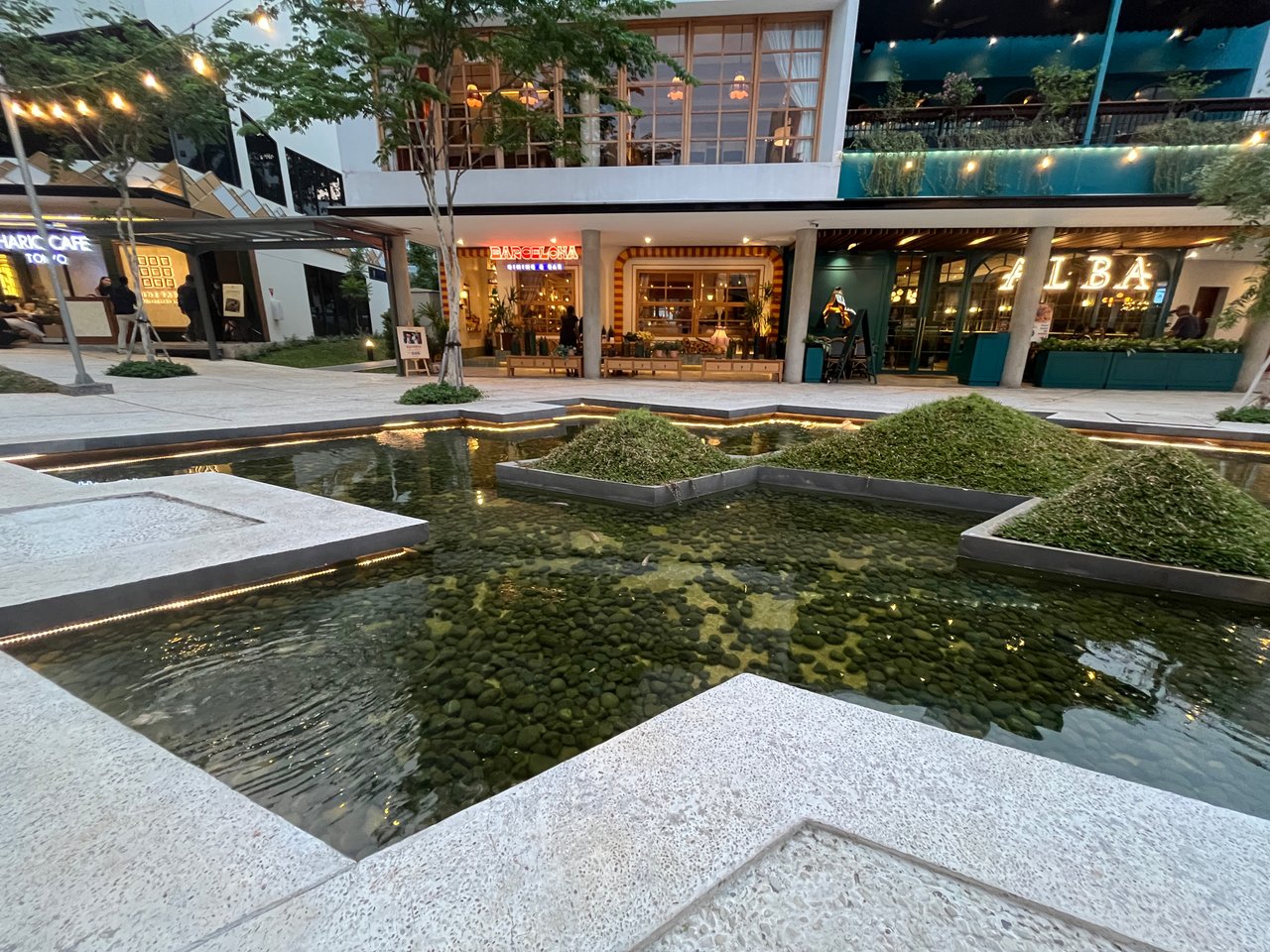 https://images.ecency.com/DQmUCZUXFoas3Tpp9KAuD1TVPqXnnfn8uUYtErgXc6EQZtn/img_2530.jpg