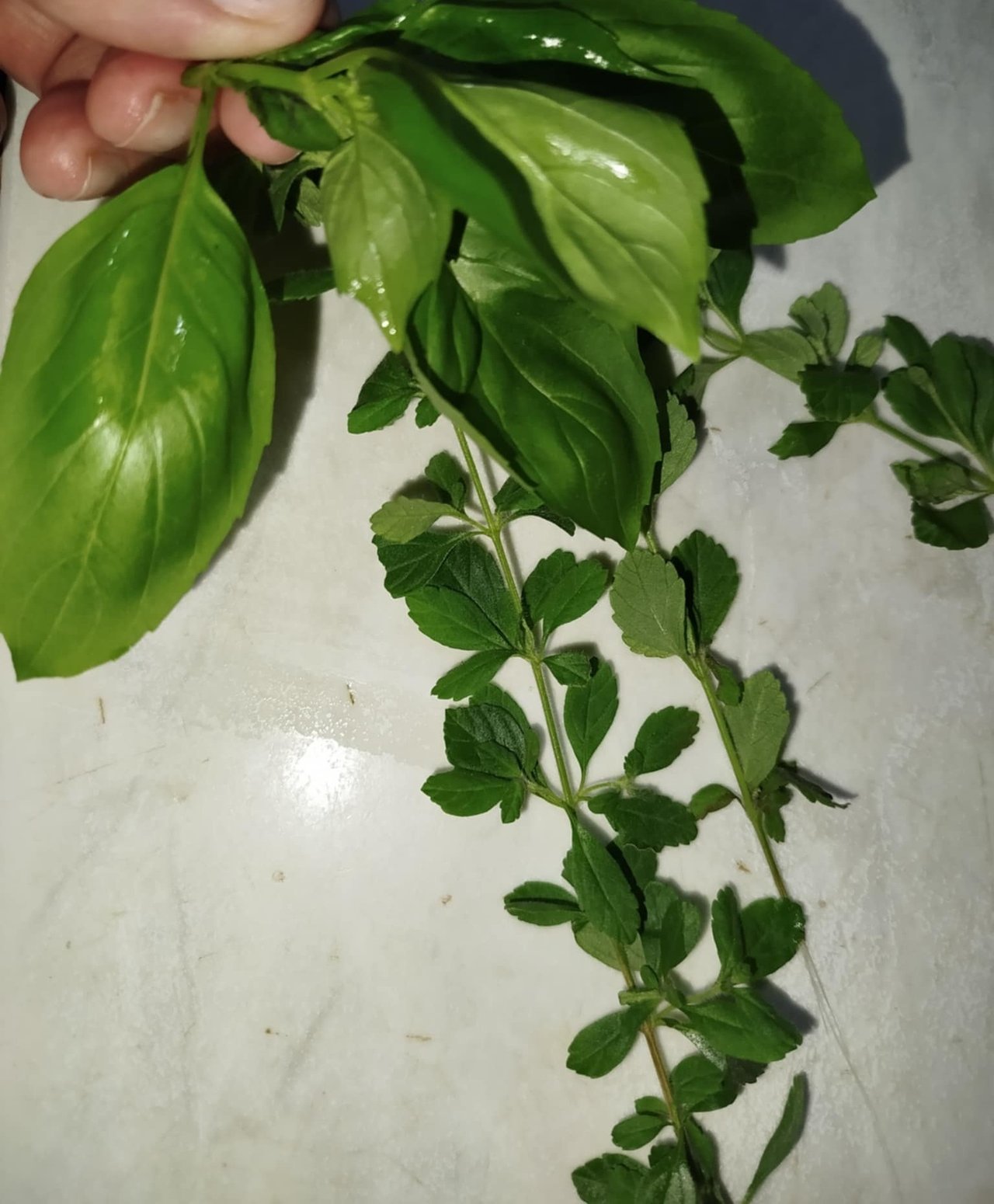 https://images.ecency.com/DQmUCrxNCUESrqyMHUJnYKMxvqUaS3J7HgAucdwTKimNJoz/8d3d0e04_8687_4eda_8a9d_d3696c7ddadf.jpg