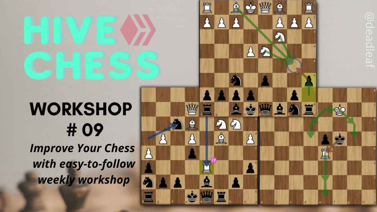 hive_chess_workshop_9.gif