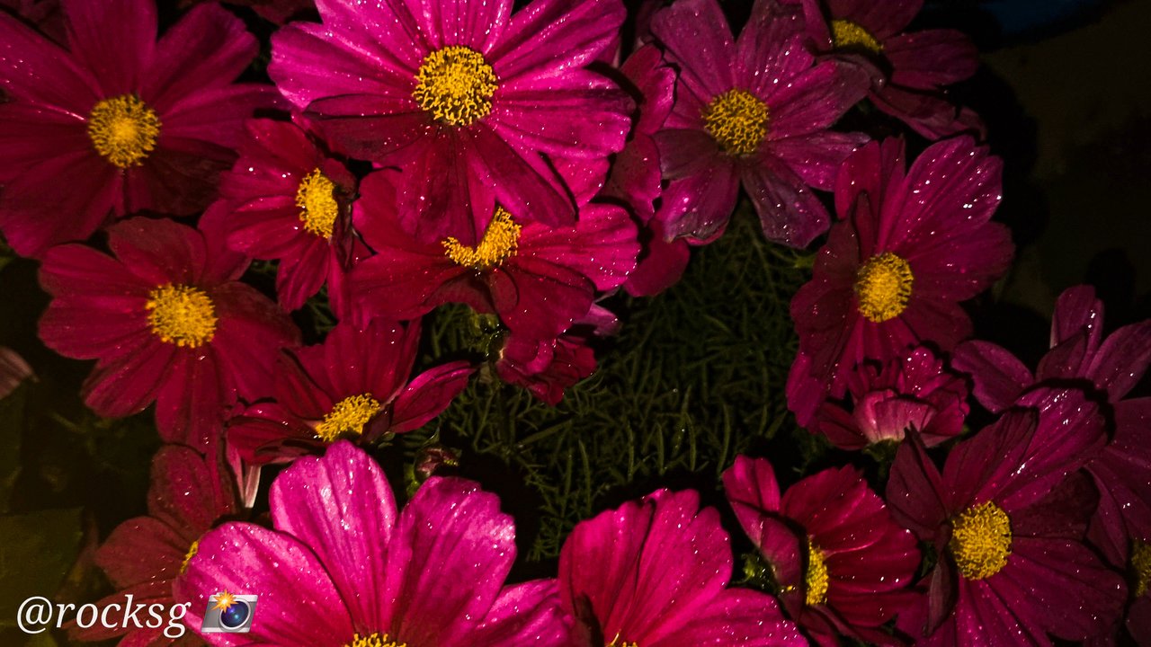 https://images.ecency.com/DQmUFeYFZsAvb1nX7w2Rfbkf4yiBJKFmf49sDnPbgk1ZwL1/1708416517332.jpg