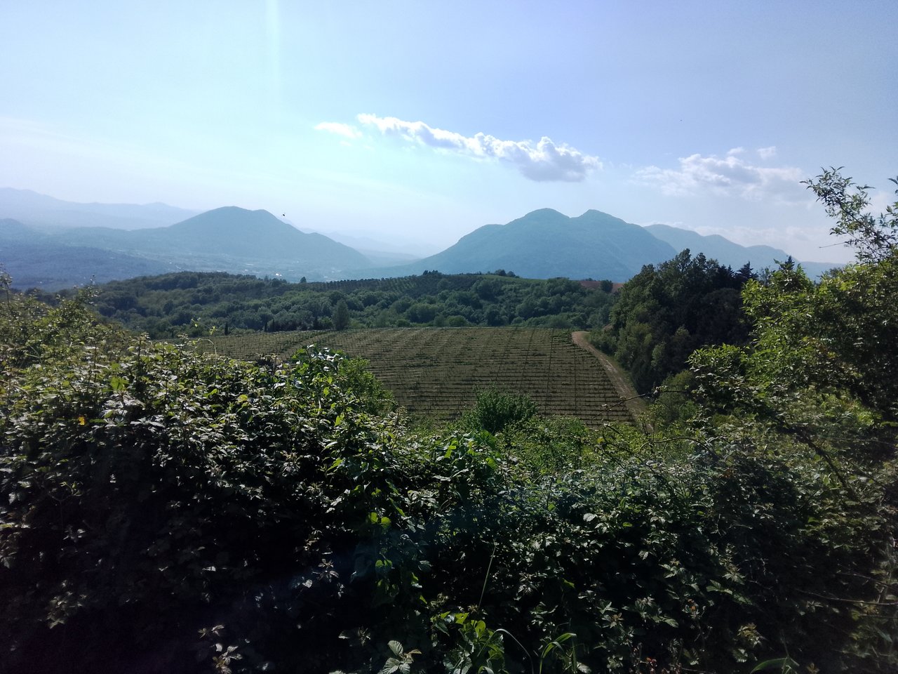 https://images.ecency.com/DQmUHcxYDBdxnuiMbAyMtr1bRF8kBbnxiMT2XHVBJKAKBWa/1746275677135.jpg