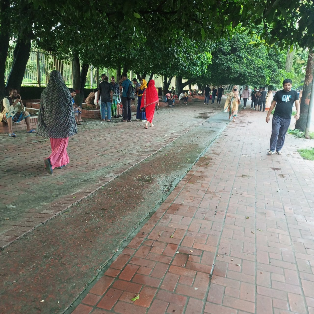 https://images.ecency.com/DQmUKuNBPdtkNqeGucha79sRS9xBTSDFr3JsxnsuUmL95bn/1756018206847.jpg
