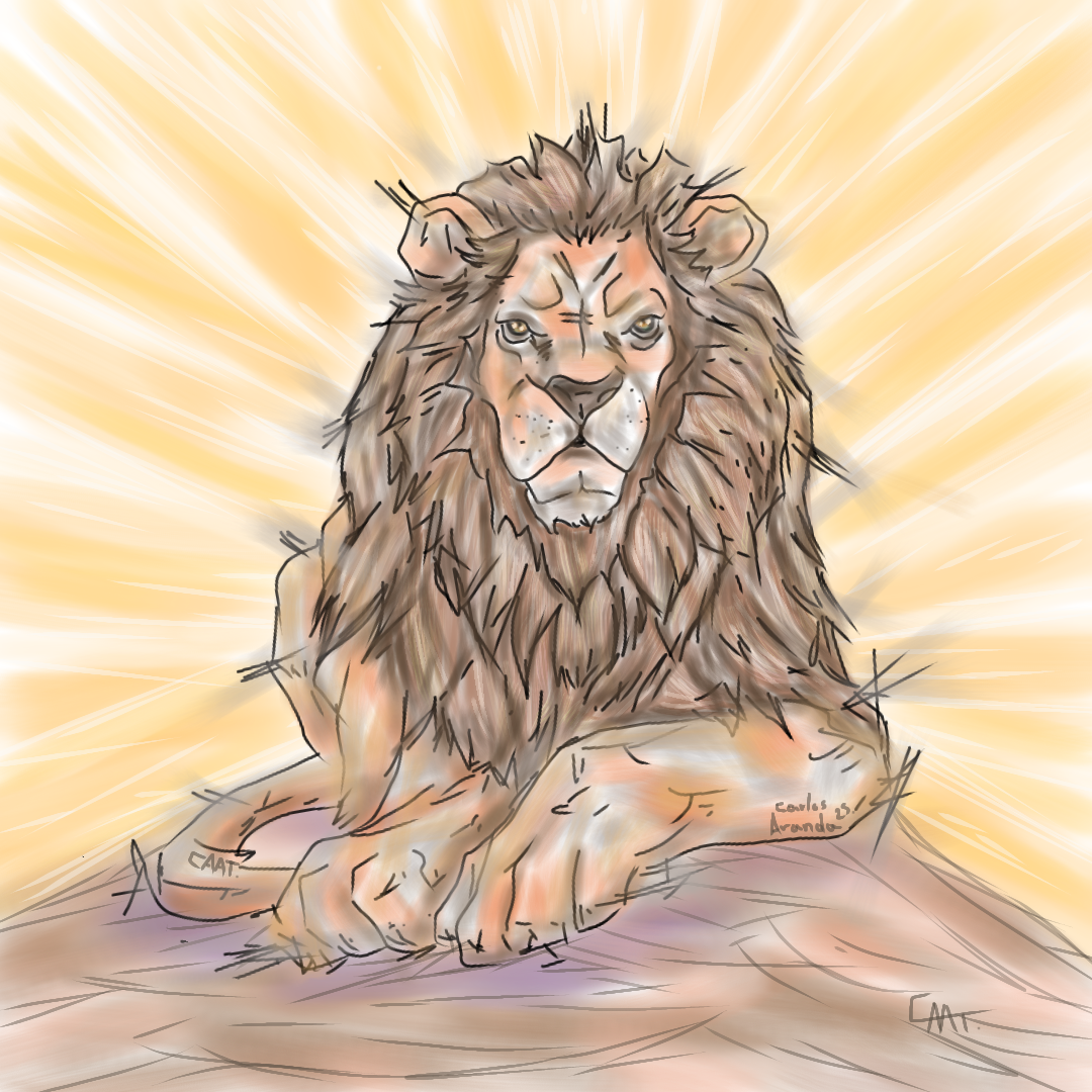 León sentado de frente / Lion sitting in front 🦁