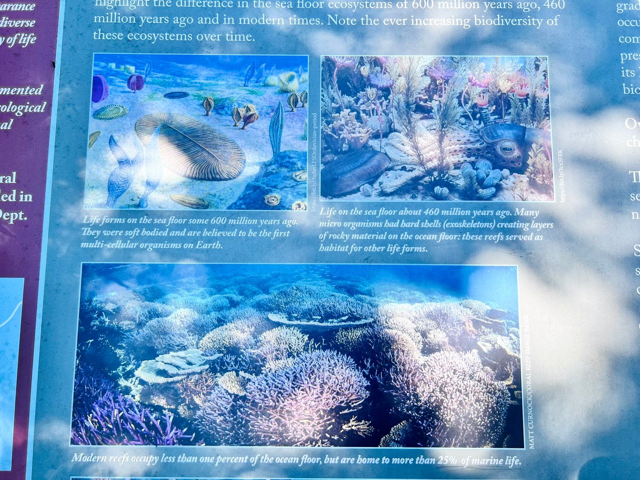 https://images.ecency.com/DQmUUq7Sb7Tr3LbKj9NtjQqbCNnRvpb3MSyWEVnYAUSSHju/img_7438.jpeg