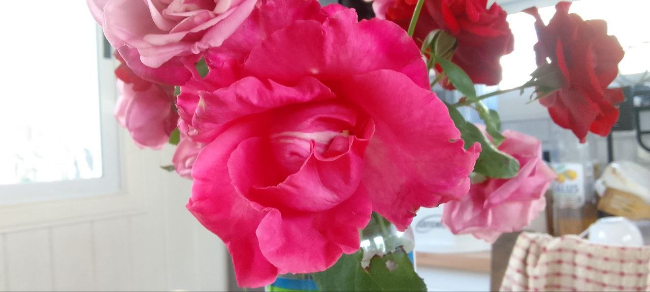 https://images.ecency.com/DQmUVr4S67MYsikFuJUQvAoxGcnTZnS8gyYBv8BE7Ep4rhh/photo_2024_06_14_15_55_44.jpg