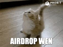 airdrop_when