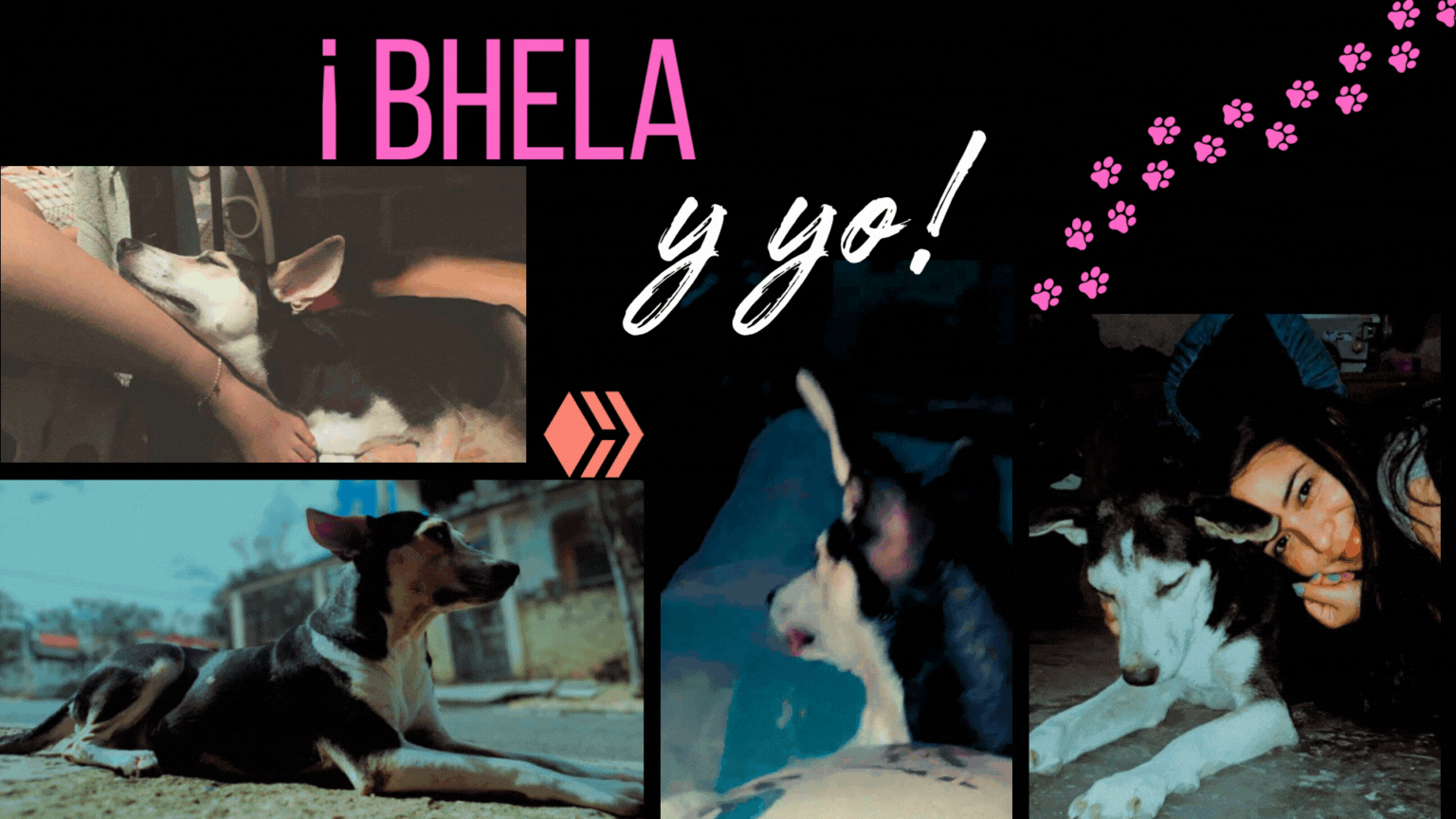 Bhela y yo: ¡Una bonita aventura! | Bhela & me: A nice adventure! ESP-ENG.