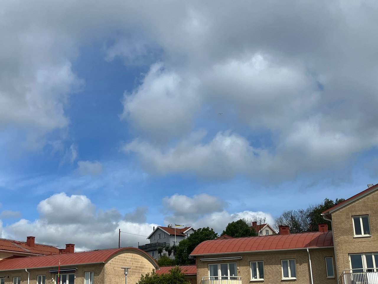 https://images.ecency.com/DQmUf2gsrU3SABgSEMK3PTFDLFwDfZJyUCL8m4ShDWJQt2y/img_2373.jpg