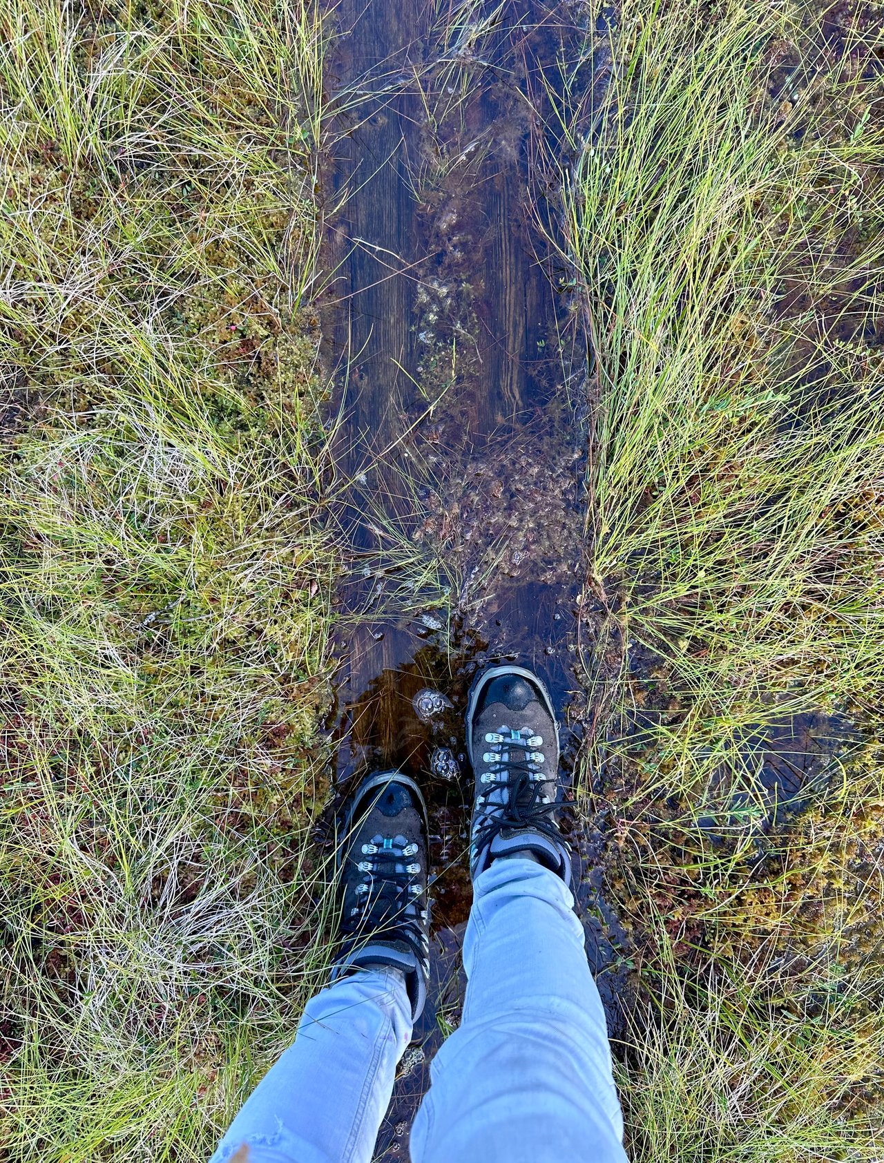 https://images.ecency.com/DQmUgWCqFwZkpW6bnz35uzRqsEadazgfCma14GBp4DpNkTi/img_6907.jpeg