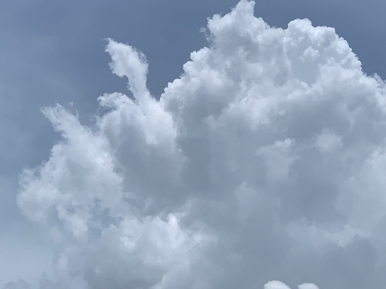 https://images.ecency.com/DQmUjnzL5QqDybqUF3Px43mvgXjGfnVpCtaCZtapYGbuynU/clouds13.jpg