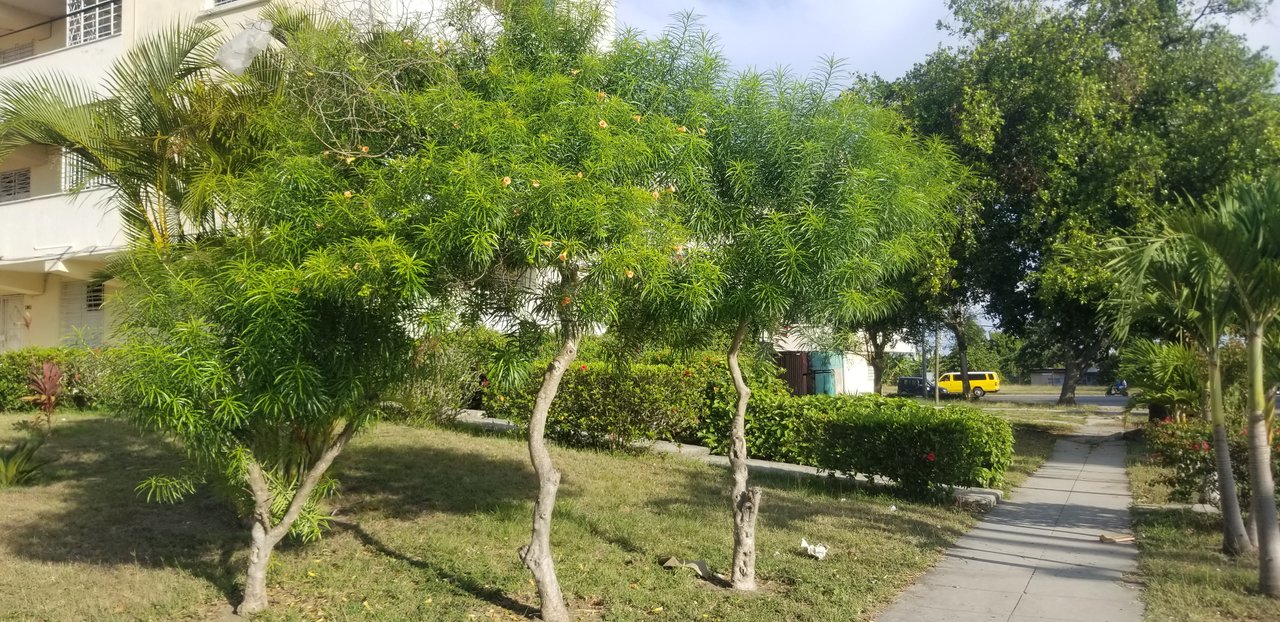 https://images.ecency.com/DQmUoqberYC72PAvnQssuUdh9EBSLRTTgx6DiufJPWb794J/20230419_085308.jpg