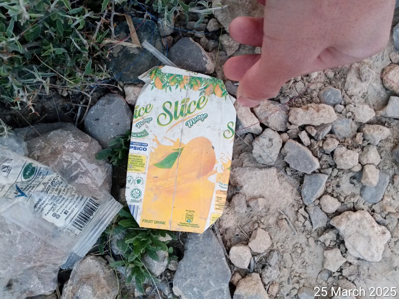 https://images.ecency.com/DQmUt72YuUhrV1SJ3qpRixxXmrmBQSJk8pw6rYe2u6KsPys/1742924424252.jpg