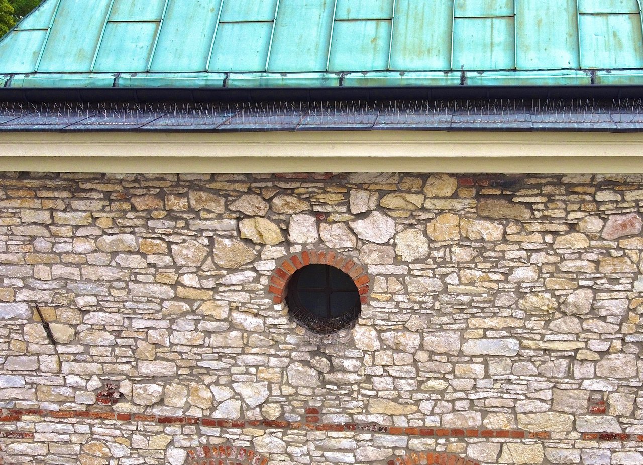 https://images.ecency.com/DQmUxhTCMmVBVVvcSW1vMwXPZrG3eSeKMnhvAKPCBZZUuKv/dji_0764.jpeg
