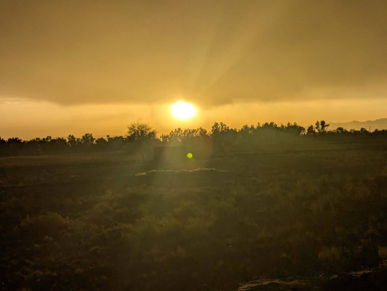 https://images.ecency.com/DQmV3fu9uNGtctbMpvjj9siLWHRn51iEHEh5gyB4C1L2LgH/1747148935075.jpg