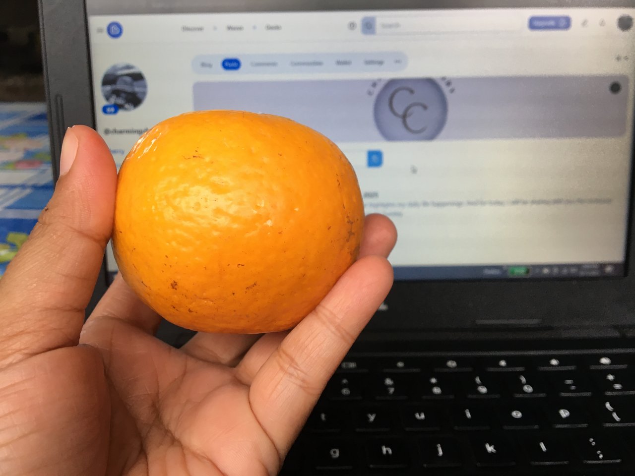 https://images.ecency.com/DQmV44ukBuMd2zxvbhzuDLspmsG8VTZ2ocqFGDG56qCmy44/orange.jpg