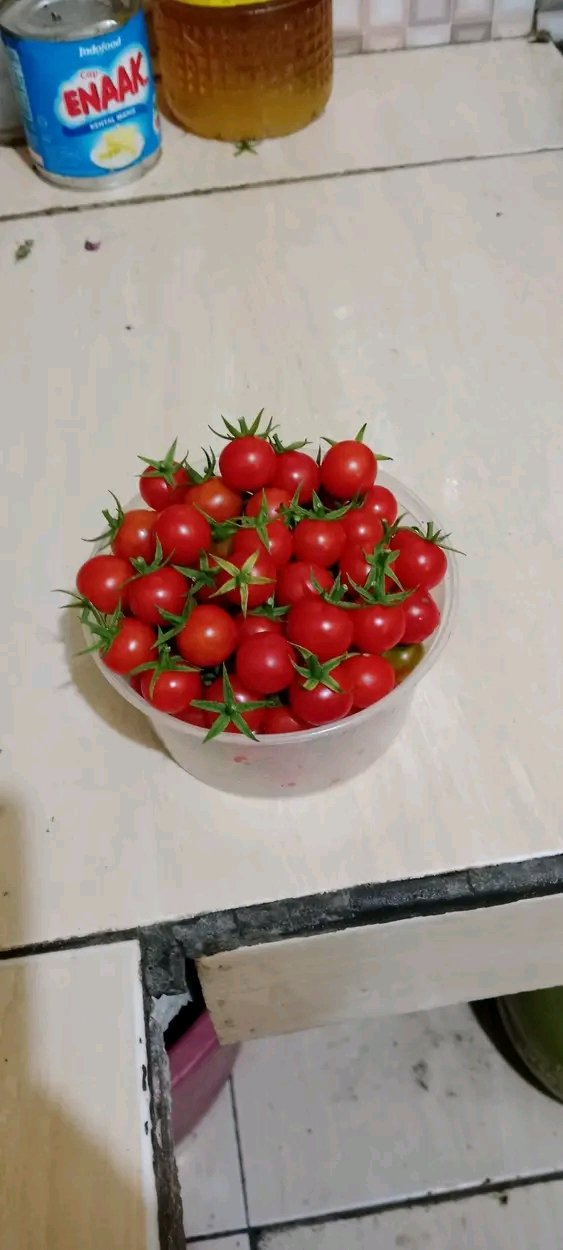 https://images.ecency.com/DQmV7jp3irqytPQBDSKyhtJ5GxCJeHdYYBvpZq7nPuiEcvF/1753448639920.jpg