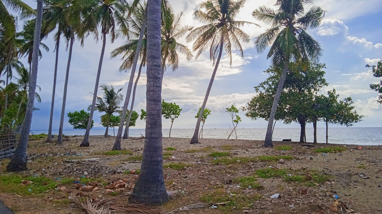 https://images.ecency.com/DQmV8Agsws3vA5KF9o1w4yGpJAvTzCtEuNqhgcHzbPbRtpm/1754710994246.jpg