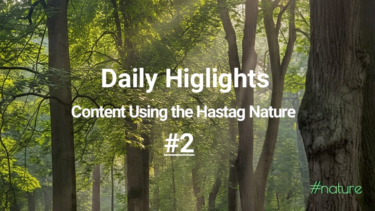 💫Daily Highlights - Content Using the Hastag Nature #2