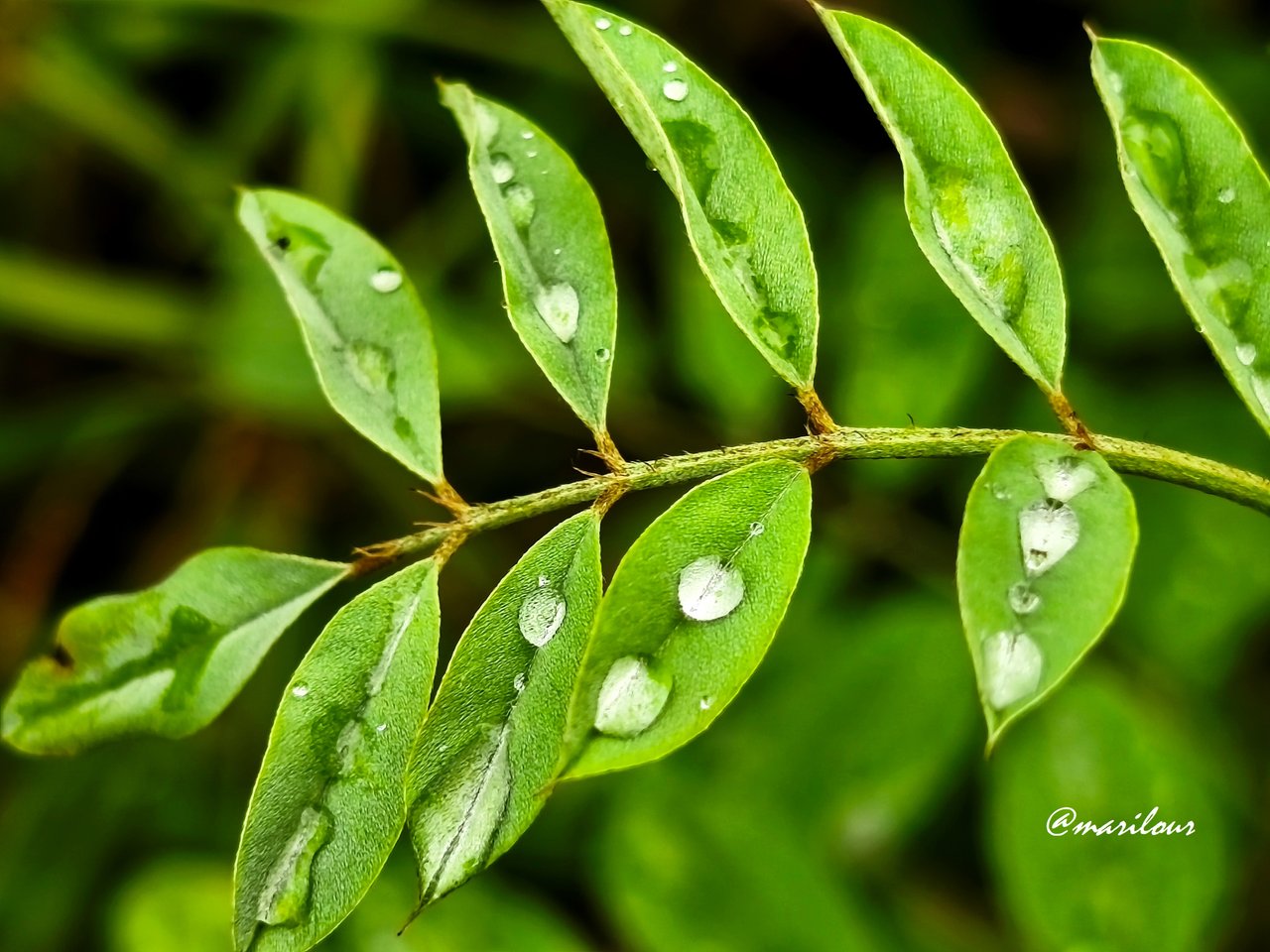 https://images.ecency.com/DQmVBomBqNfeSdAyUVMPEFcuyj9BaGt62SAdyPWx26hmth9/1000106450.jpg
