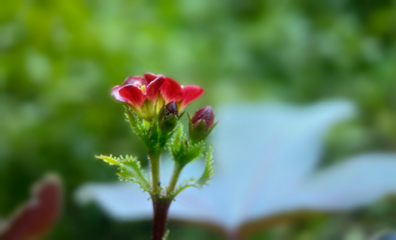 https://images.ecency.com/DQmVCH9pxPeAwMqk7yoi1UhfwKrCKeYw7fDVsS5jNmBZcZV/jrk23.jpg