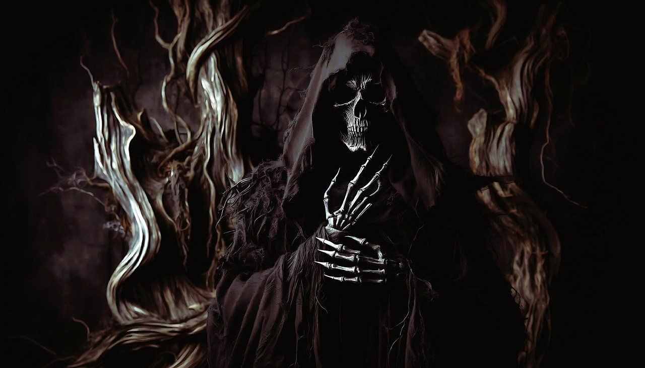 https://images.ecency.com/DQmVFWeG8qZeUEQeGMDK2fkPAq7SVuzLMbVAnRfkpKQY89d/1748675082096.jpg