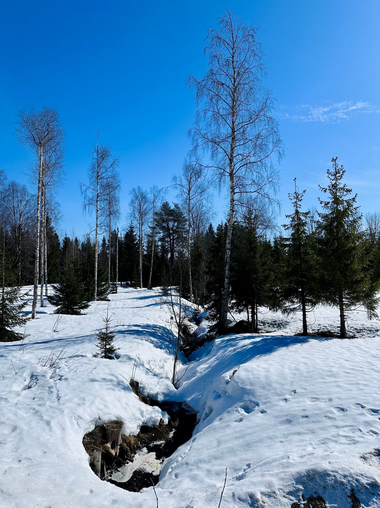 https://images.ecency.com/DQmVKvknQirV5VFRKb2taxe48Es6E63R9aQ7cxkSr54sX9W/img_1705.jpeg