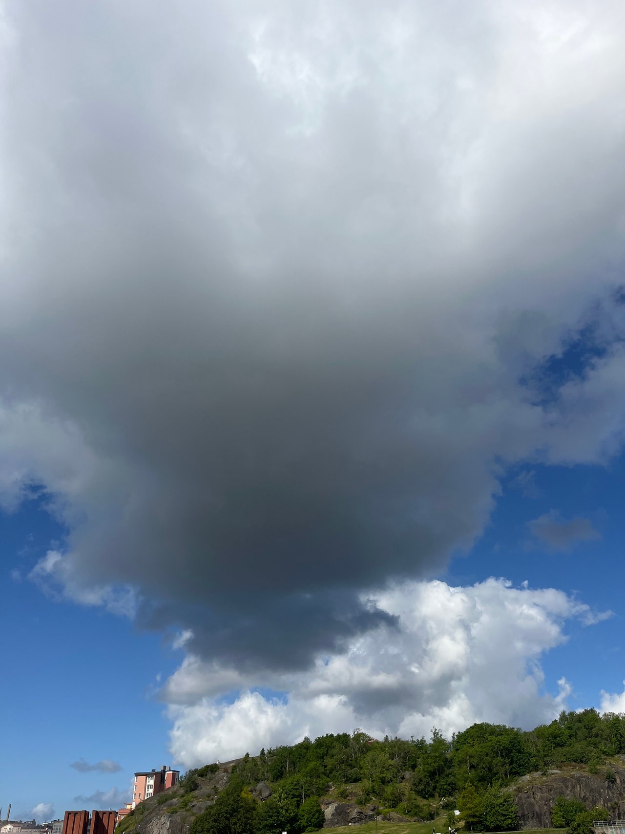 https://images.ecency.com/DQmVLctZf5txNMi5M11YH7X54iALQTnXEqKnSvytT3pCLKc/d450a298_8907_41eb_8ce7_1f9323889a82.jpg